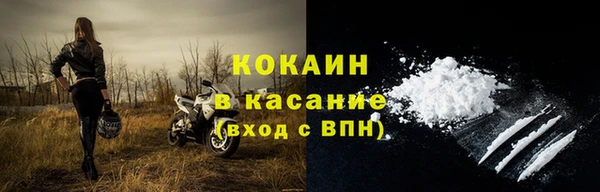 прущие грибы Арсеньев