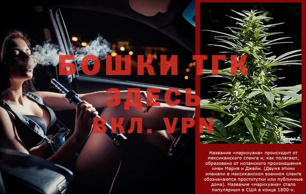 прущие грибы Арсеньев