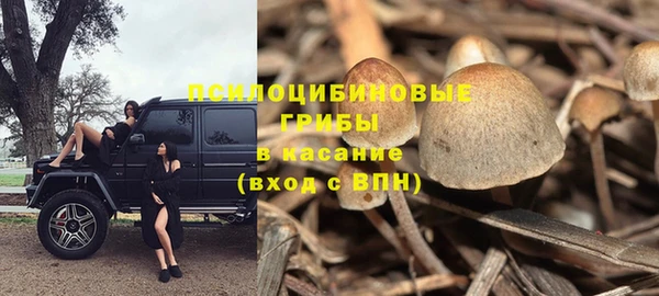 прущие грибы Арсеньев